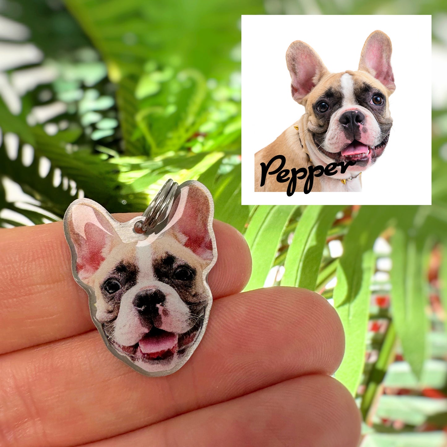 Personalised Pet Collar Tags