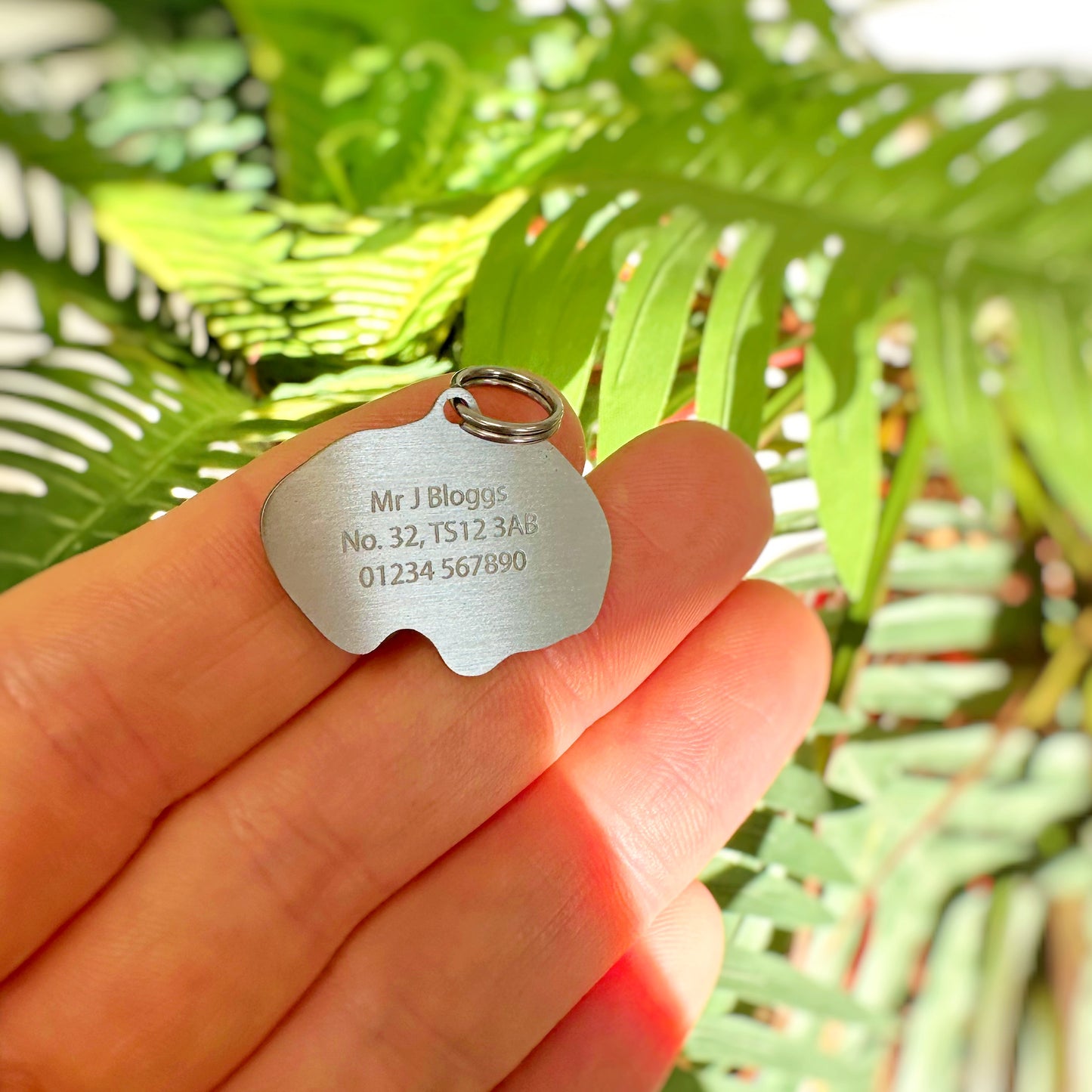 Personalised Pet Collar Tags