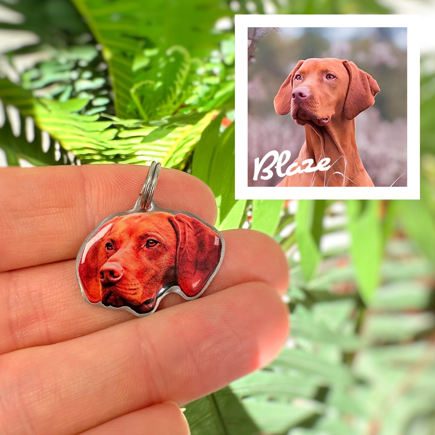 Personalised Pet Collar Tags