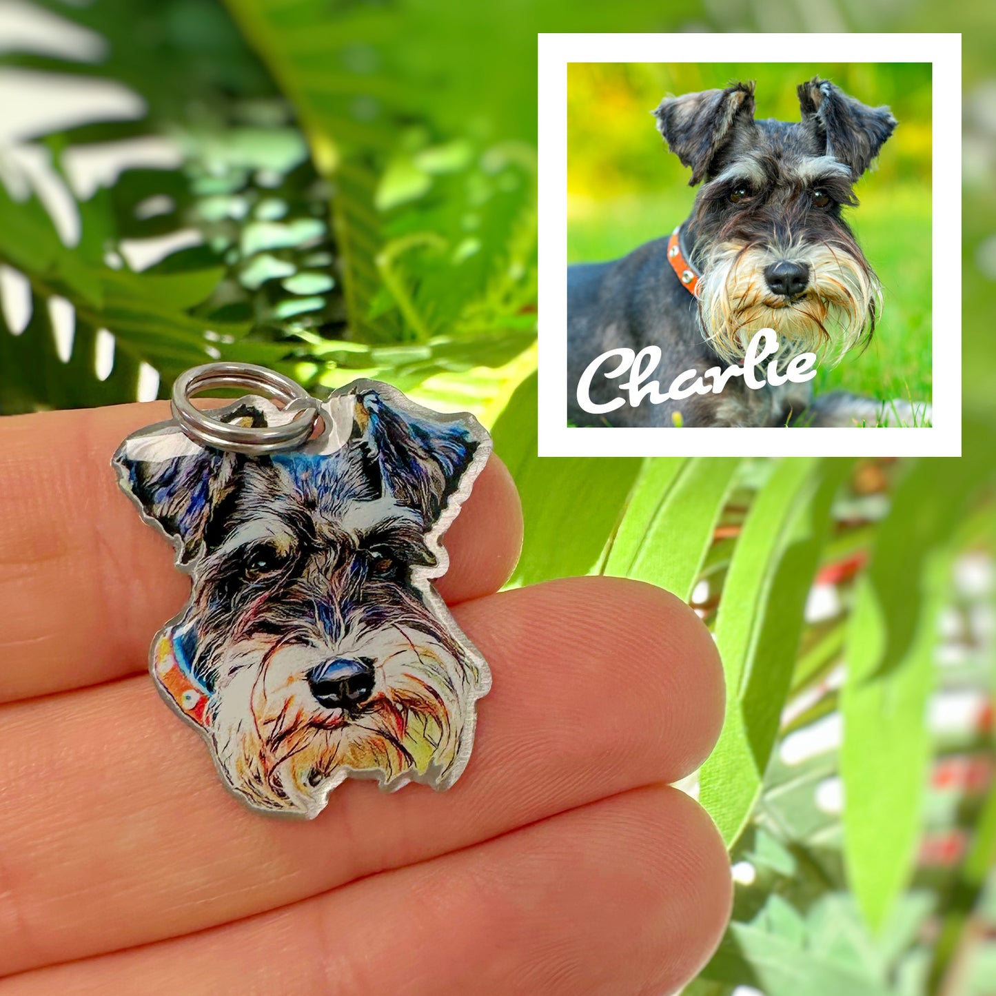 Personalised Pet Collar Tags