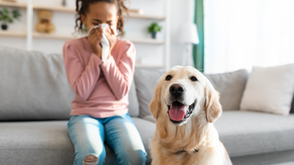 Coping With Pet Allergies