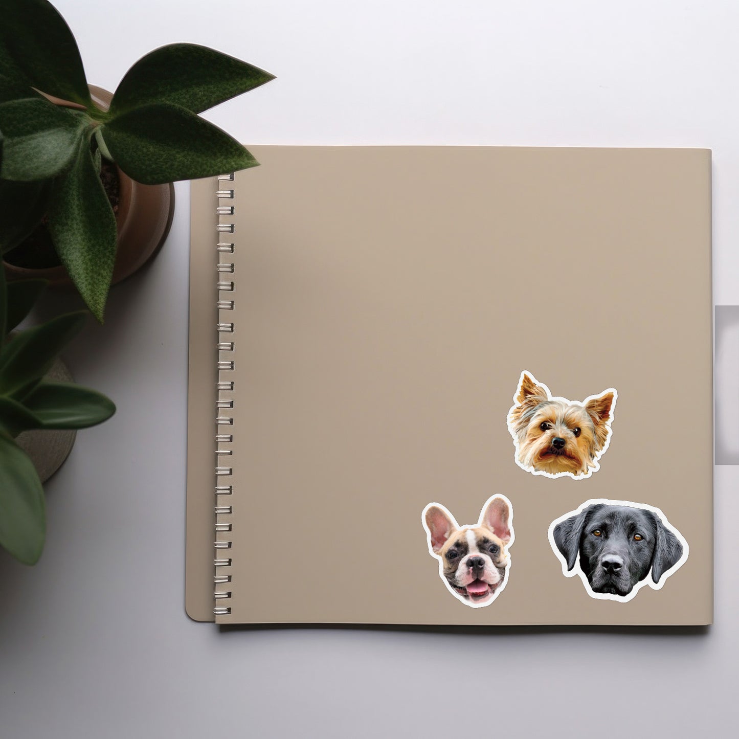 Personalised Pet Stickers