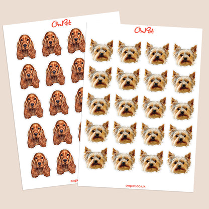 Personalised Pet Stickers